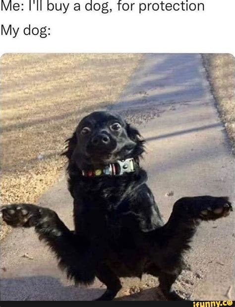 Saying Fuck Il Actually Motivates Me More Than You Can Do This G Nnglas This Is Because