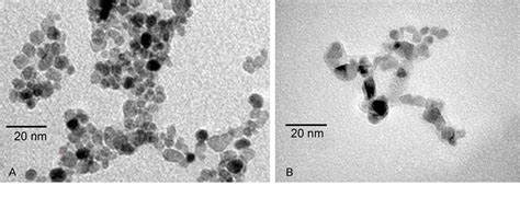 Figure From A Comparative Study Of Transfection Of Rat Mesenchymal