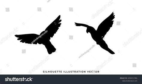 Wild Animals Silhouettes Vector Illustration Isolated Stock Vector ...