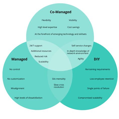 Unveiling Managed It Services Full Vs Co Managed