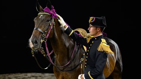 Gala Le Printemps Des Ecuyers Le Cadre Noir Et Lecole Royale