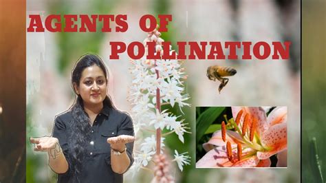 Agents Of Cross Pollination By Preeti Chhabra Youtube