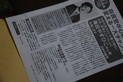 東京・八王子市長選挙に注目です－1月14日告示、21日投票 みかんの木を育てる 四季の変化 楽天ブログ