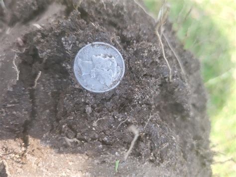 First Hunt With Manticore Update Metal Detecting For Coins Relics