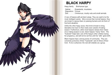 Black Harpy Monster Girl Encyclopedia Drawn By Kenkoucross Danbooru