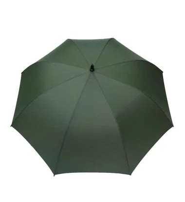 Grand Parapluie De Golf Solide Vert