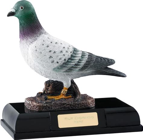 Resin Racing Pigeon Trophy On Large Base 16cm 625