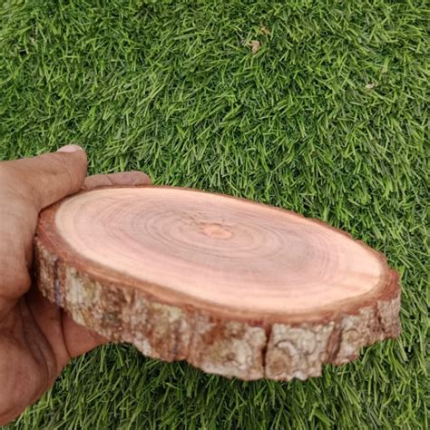 Jual Potongan Kayu Bulat Slice Wood Talenan Bulat Cm Shopee