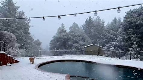 Tormenta Invernal Hist Rica Nevada Sorprende A A Residentes Del Rea