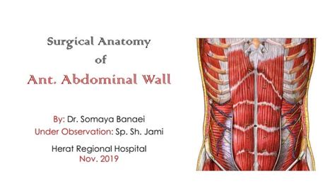 Surgical anatomy of Abdominal wall | PPT