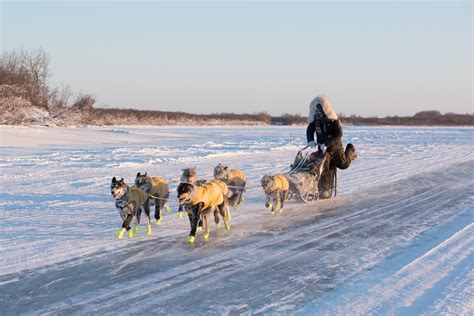 Kuskokwim 300 sled dog race is still on - Alaska Public Media