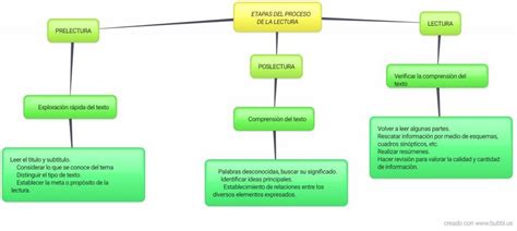 Mapa Mental De Las Etapas Del Proceso De Lectura Arbol Porn Sex Picture