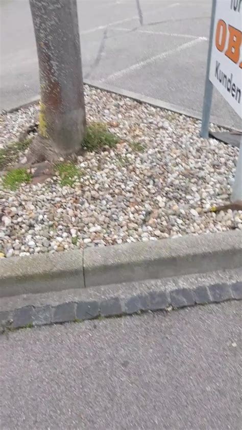 Public Free Gay Porn Video D XHamster XHamster