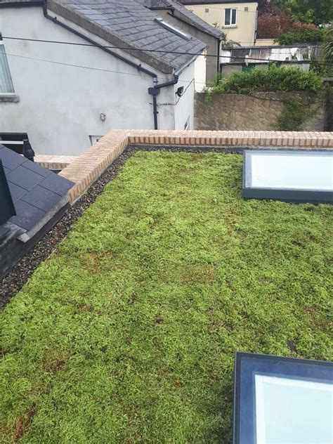 4 Things You Need to Know About Sedum Green Roof | Laydex Ireland