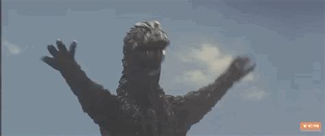 Godzilla Franchise GIFs - Get the best GIF on GIPHY