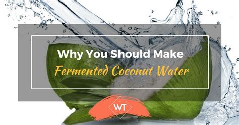 Why You Should Make Fermented Coconut Water