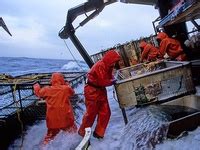 8 Best Alaskan Crab Fishing ideas | crab fishing, alaskan crab, crab