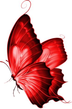 Red Butterfly png 3 by yotoots on DeviantArt