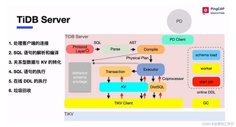 Tidb 从0到1 体系结构tidb 架构 Csdn博客