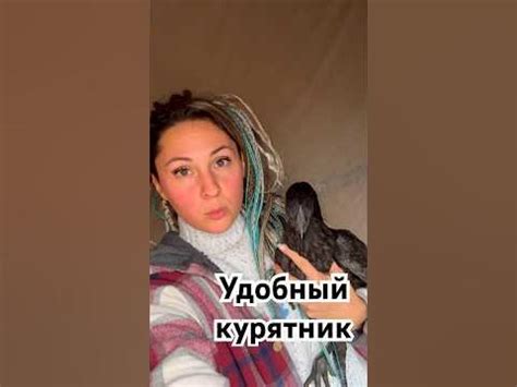 Курятник, кормушки и поилки для кур - YouTube