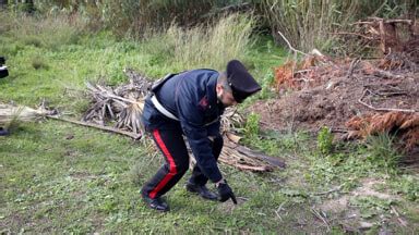 Omicidio Nelle Campagne Di Gavoi Allevatore Francesco Cidu Trovato