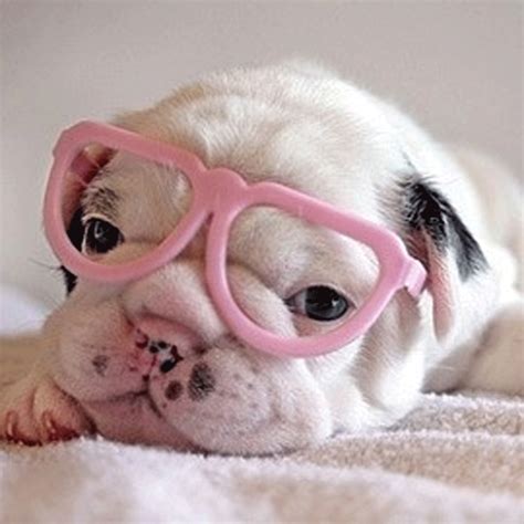 Funny Quotes About Wearing Sunglasses. QuotesGram