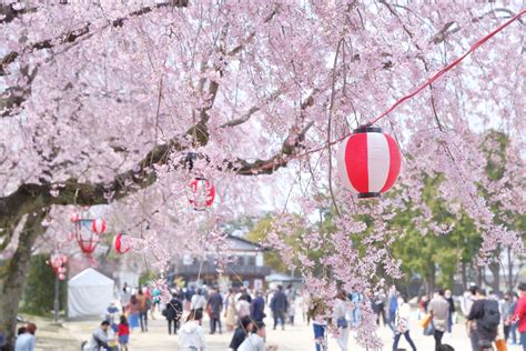 【名古屋】オススメのお祭り5選！見所・会場・開催時期を徹底解説。 マンスリー48