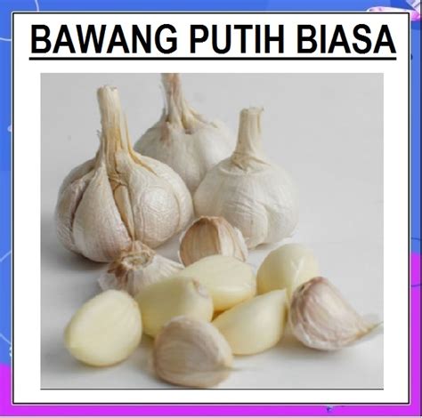 Bawang Putih Biasa Honan Belum Kupas Kg Lazada Indonesia