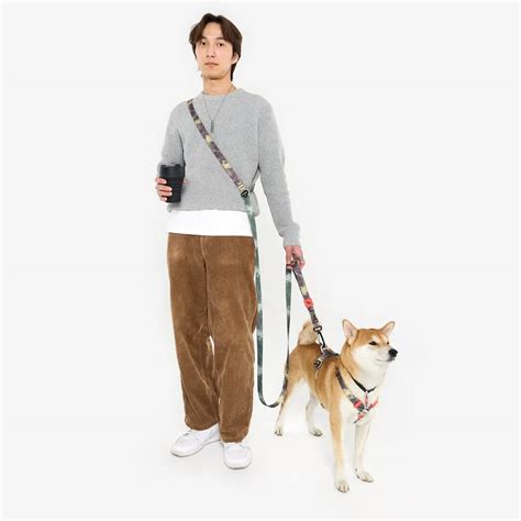 Амуниция и экипировка для собак | staya