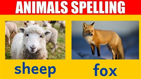 Kids Can Spell Animals