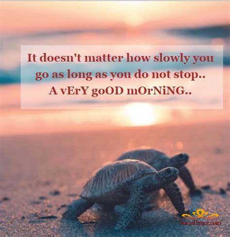 40 Good Morning Turtle Images And S Good Morning Wishes