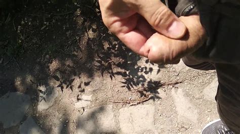 Public Masturbation Gay Porn XHamster