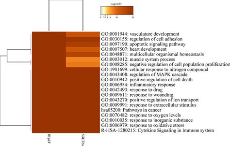 Heatmap Of Enriched Terms Across Targets Colored By P Values Top 20