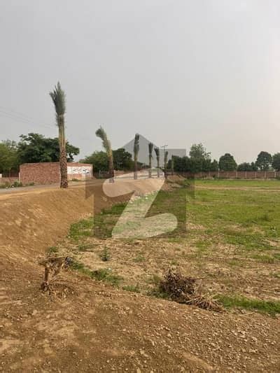 1 Kanal Plots For Sale In Thethar Lahore Zameen