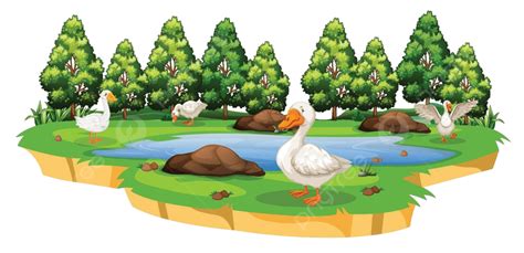 An Isolated Duck Pond Graphic Pond Wildlife Vector, Graphic, Pond ...