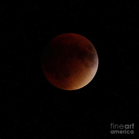 Super Blood Red Moon Eclipse No 6 Photograph by Alan Look - Fine Art America