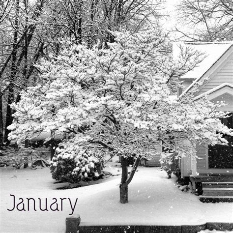 January snow January Born, Yearlong, Months In A Year, Winter Scenes ...