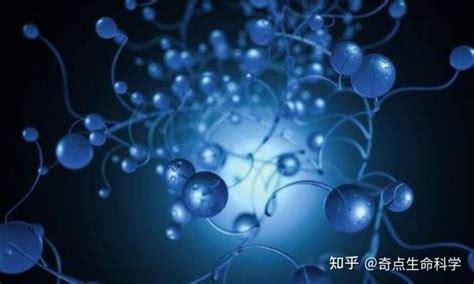 奇点生命科学干细胞 基因治疗渐冻症联合疗法安全性获证实 知乎