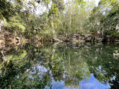 Experience The Magic of Cenote Azul [Guide 2022]