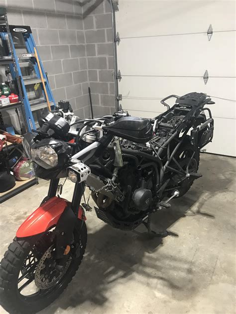 Naked Tiger R TigerSpotting