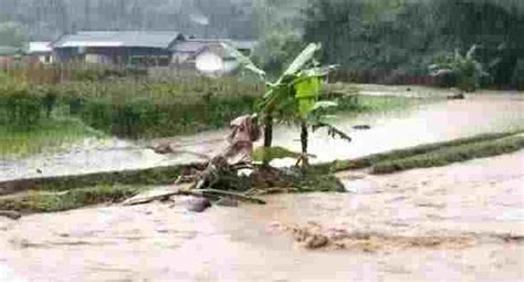 Di Limbangan Garut Puluhan Petani Merugi Hingga 50 Juta Lahan Pertanian