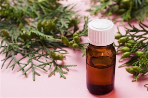 Масло туи при аденоидах для детей: инструкция, отзывы, как применять