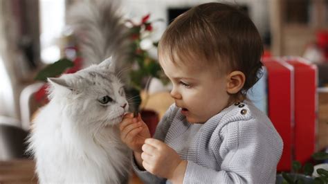 Tout le monde me dit que j ai appelé mon enfant comme son animal