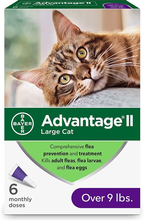 Safest Flea Treatment For Cats Uk - GESTUJG