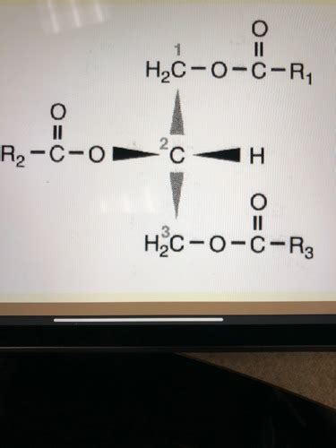 Biochemistry Flashcards Quizlet