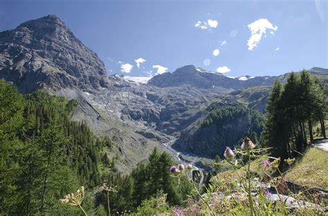 Ortler,mountains,the alps,stelvio,italy - free image from needpix.com