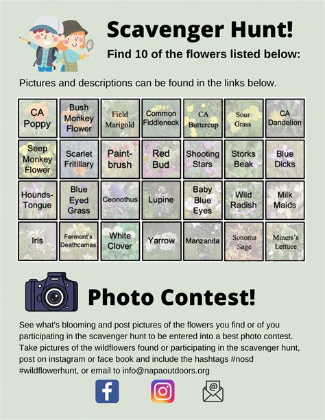 Wildflower Scavenger Hunt | Napa Outdoors