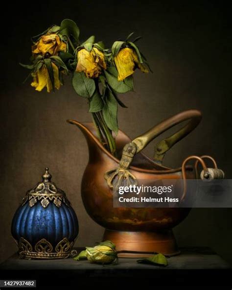 89 Copper Flower Vase Stock Photos High Res Pictures And Images