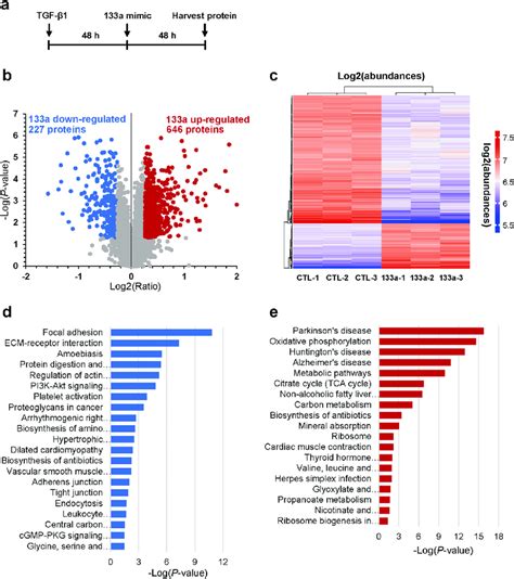 Quantitative Proteomics And Kegg Pathway Enrichment Analysis A