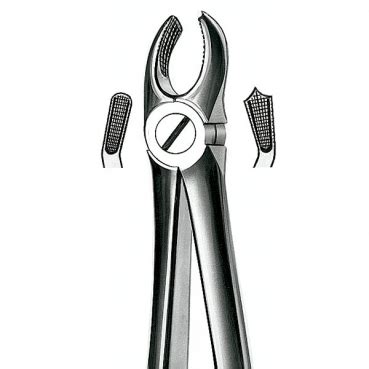 Forceps Martin Molar Sup Dcha Dental Regueiro